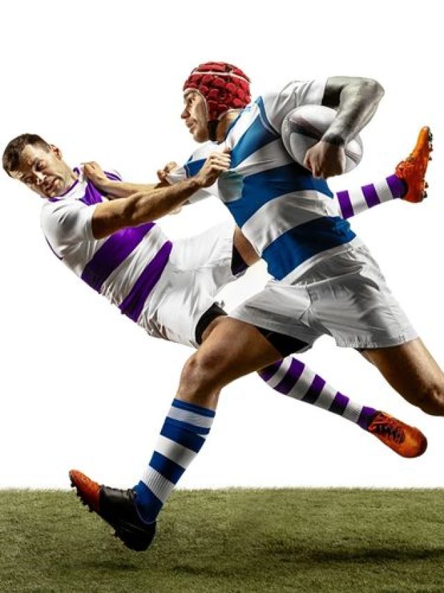wholesale rugby shirts