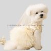 dogs cute party dress supplier