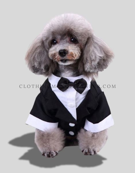 dogs tuxedo style clothes supplier